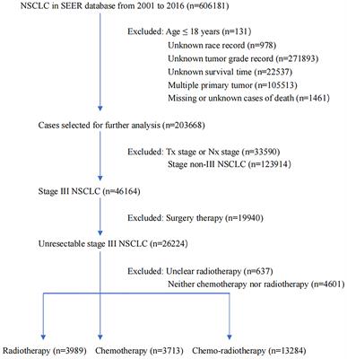 Treatment Patterns for Patients With Unresected Stage III NSCLC: Analysis of the Surveillance, Epidemiology, and End Results (SEER) Database